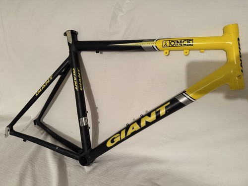Cuadro giant tcr - tcr, compact