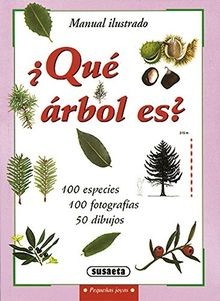Qué árbol pequeñas - árbol, es?